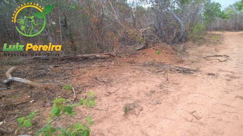 Imagem 15 de 15 de Fazenda À Venda Em São Valério -to - 1.026 Hec (excelente Para Agricultura) - 1520
