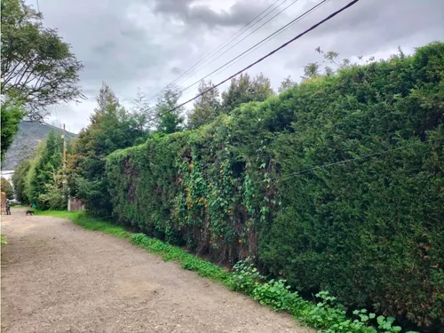Lote Campestre Con Licencia En Venta - Vereda La Balsa - Chía