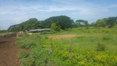 Imagen 27 de 27 de Se Vende Finca Hacienda En Estado Zulia, Ml