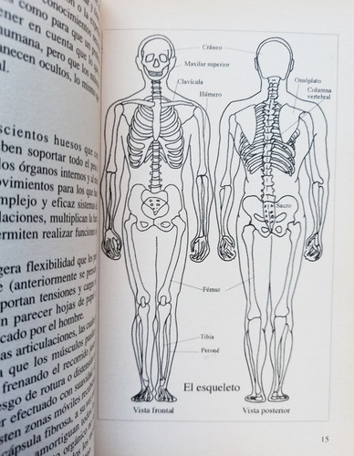 Guía Masajes Y Manipulaciones - R. Rodríguez Aliviar (Usado)