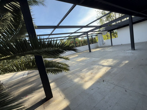 Excelente Local En Renta - Jardines Del Pedregal