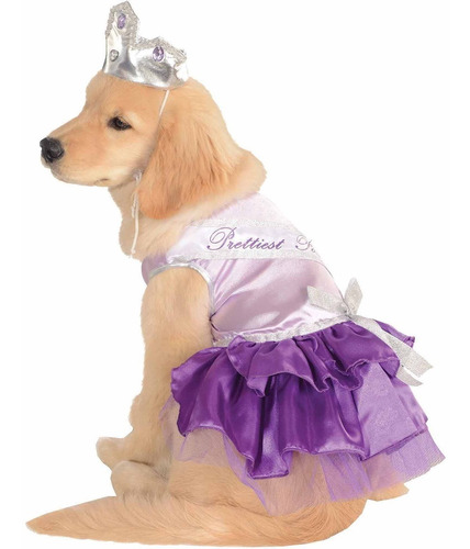 Más Bonito Perro De Halloween De Disfraces De Mascotas