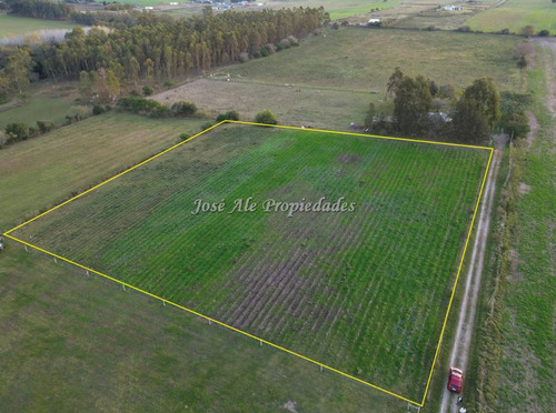 En Venta Chacra De 1 Ha Por Ruta 21, Colonia Del Sacramento