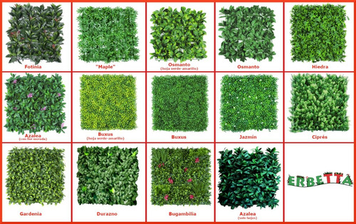 Erbetta Follaje Artificial / Muros Verdes / Woodbox