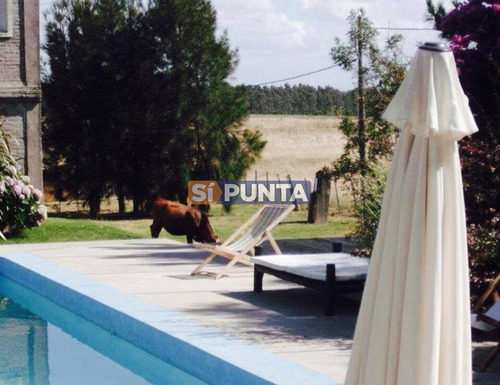 Imagen 10 de 12 de Posada A La Venta