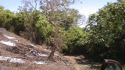 Vendo Rancho 20 Has Libramiento Adolfo López Mateos Tuxpan Veracruz