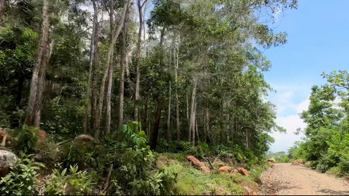 Finca De 887 Tareas En República Dominicana