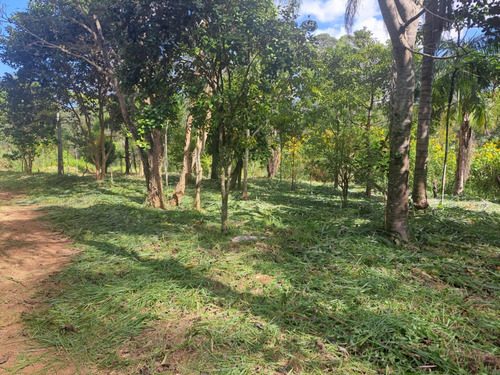 Vanserv Limpeza De Quintal E Lavagem De Caixa Dágua