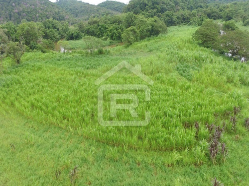 Imagem 15 de 21 de Fazenda - 229 - 70651803