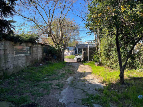 Oportunidad Dos Casas Y Un Apto! En Un Mismo Padrón