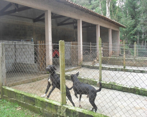 Imagem 17 de 30 de Excelente Sítio Rico Água Com Nascente Própria Em Juquitiba. - 76 - 32982783