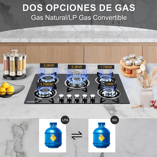Parrilla De Gas Empotrables Estufas 5 Quemadores Color Negro