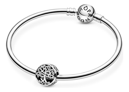 Charm Raíces Familiares Calado Color Plata