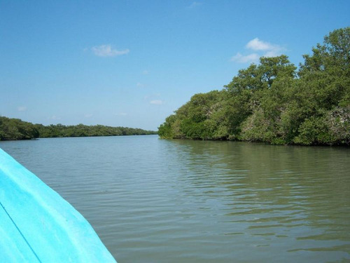 Venta Rancho Ganadero 1229 Hectáreas Tuxpan Veracruz.