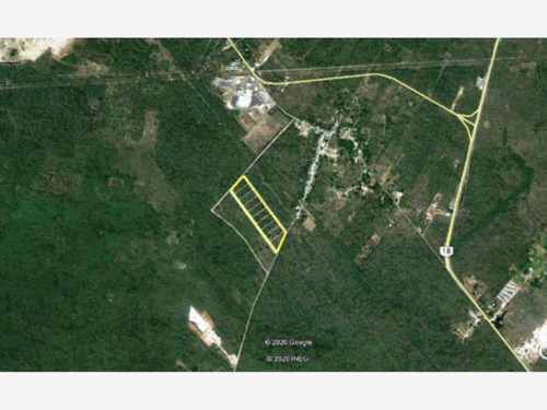 Imagen 2 de 8 de Terreno En Venta San Antonio Tzacala