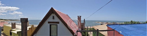 Narviz En Punta Del Diablo