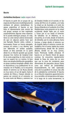 Irigoyen Peces Y Pesca Deportiva Argentina - Mar Y Patagonia