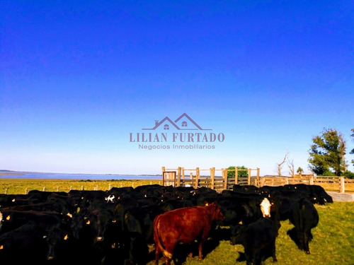 26 Has En Zona Laguna Jose Ignacio - Ref: 654