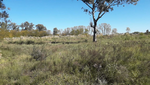 Imagen 2 de 13 de Excelente Lote 500 Mts Venta Mariano Acosta Merlo