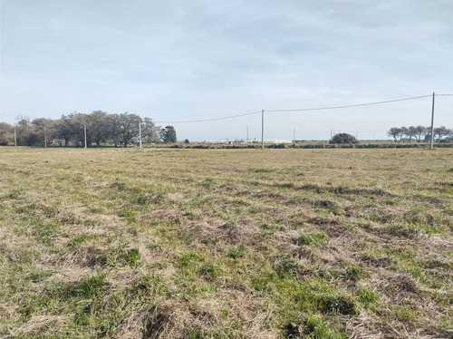 Imagen 5 de 9 de Terreno En Madariaga
