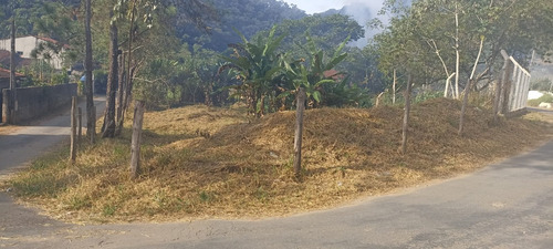 Chacara No Bairro Taquari - Sp 50 Km 23,5 Área De 540m² Sendo 13 De Largura E 42 De Comprimento.