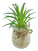 Comprar Cactus Mini Planta Artificial Tuna Con Maceta De Vidrio