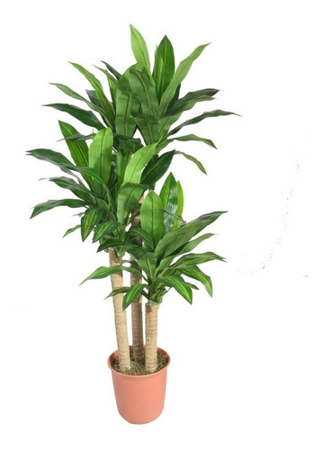 Planta Arbusto Artificial Dracena Dragoeiro 140cm - 307