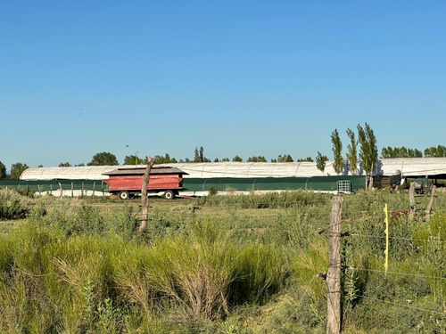 Imagen 5 de 17 de Vendo Campo De 300ha, San Rafael, Mendoza