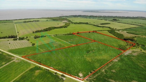 Imagen 13 de 13 de Martin Chico, Colonia - Campo Agricola Con Vista Al Rio De La Plata