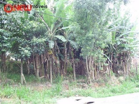Imagem 7 de 7 de Terreno Residencial À Venda, Vila Nova Bonsucesso, Guarulhos - . - Te0028