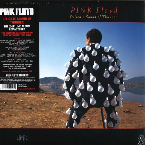 Vinilo Pink Floyd (delicate Sound Of Thunder) Sellado (vinil