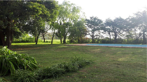 Campo De 30 Hectáreas En Pergamino