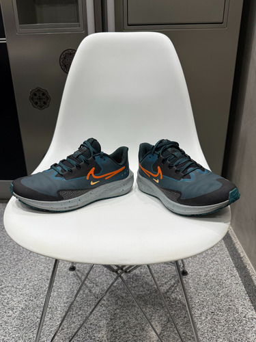 Nike Air Zoom Pegasus Shield (Usado)