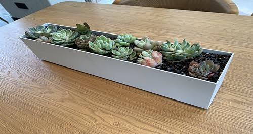 Jardinera Moderna De Metal - Caja Rectangular Para Suculenta