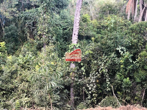 Chácara À Venda, Fazendinhas Amaro - Lagoa Santa/mg - 1393