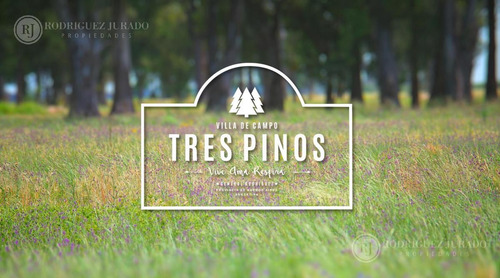 Imagen 14 de 20 de Terreno - Los Tres Pinos