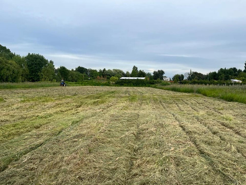 Se Vende Terreno 5000 M2, Cam. A Cantarrana, A 2 Km De L.a