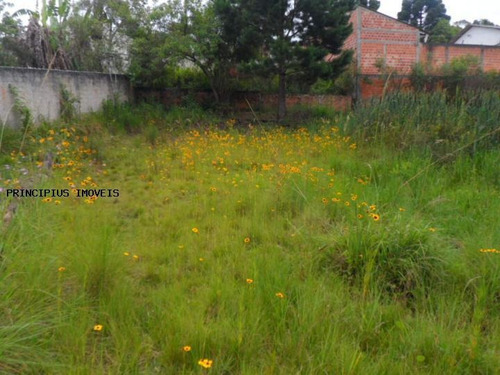Terreno Para Venda Em Colombo, Vila Florestal Grajau - 00112_2-400591