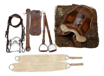Comprar Kit 13x Peças Sela Arreio Boiadeiro Muladeiro Chapeado 