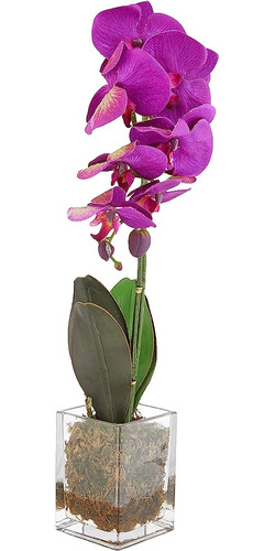 Casi Natural De 24 Pulgadas. Orquídea Phalaenopsis Arreglos 