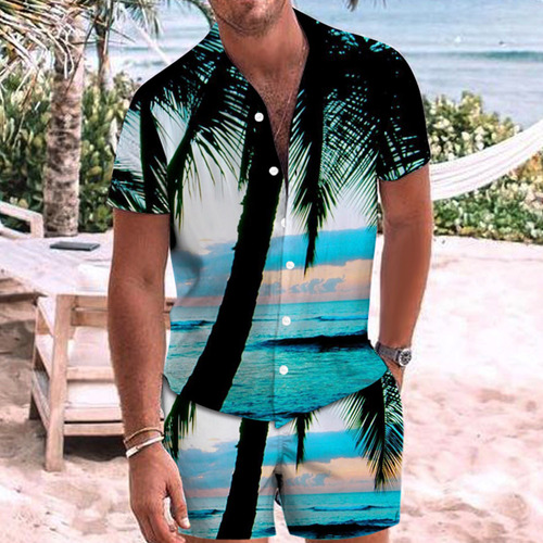 Blusa De Playa Hawaiana Para Hombre, Conjunto De Ropa De Pla