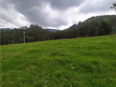 Lote y casalote en venta