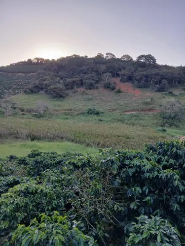 Propriedade Rural 22 Hectares