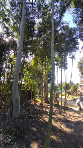 Imagen 14 de 24 de Terreno En Venta En Balneario Buenos Aires