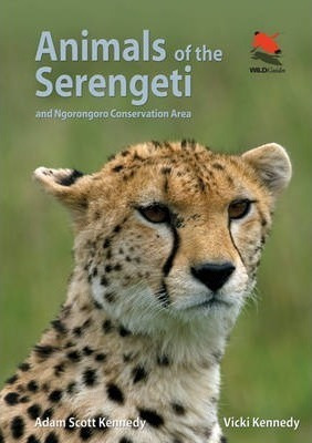 Animals Of The Serengeti - Adam Scott Kennedy