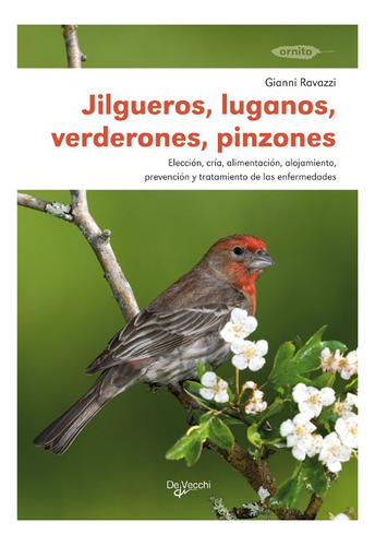 Libro. Jilgueros, Luganos, Verderones, Pinzones - Animales