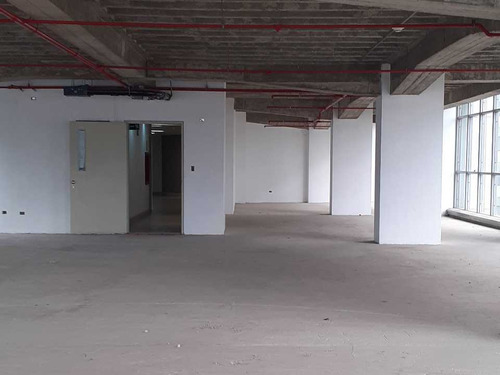 Imagen 9 de 14 de Se Alquila Oficina 390m2 Santa Paula 2778