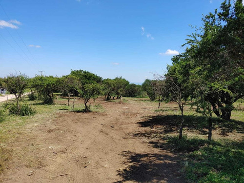 Imagen 4 de 14 de Preventa De Lotes De 1000m2 Y 1250m2 En San Luis