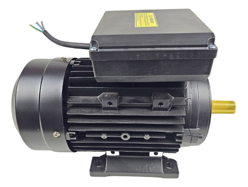 Motor Elétrico 3cv 4 Pólos Monof. Bivolt Ip55 Yl100l1 Lynus