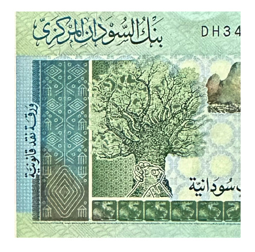 Sudan - 10 Pounds - Año 2017 - P #73 - Camello